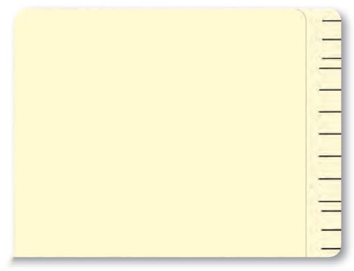 Service File Folders (100)
